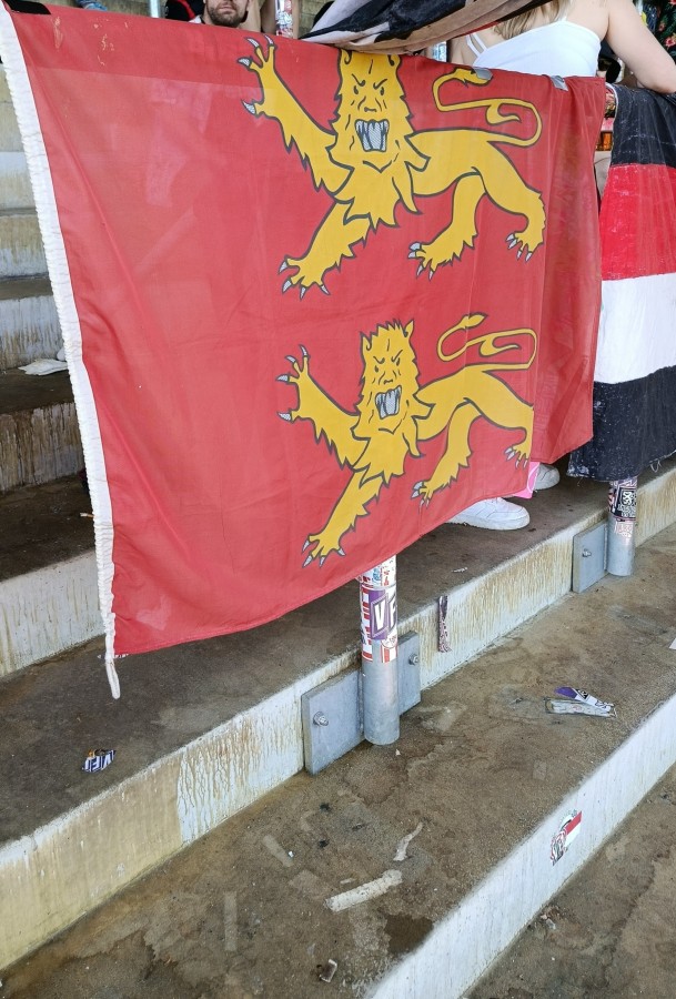 Hoffenheim II-Ingolstadt (5).jpg