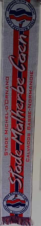 Blason Pepsi (2).jpg