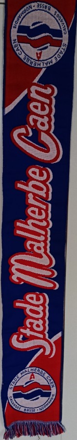 Blason Pepsi (4).jpg