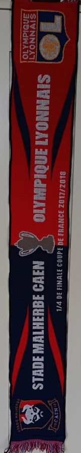 Caen-Lyon 2017-2018 (Quart CdF).jpg