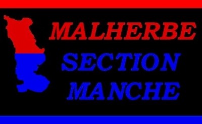 LOGO MSM.jpg