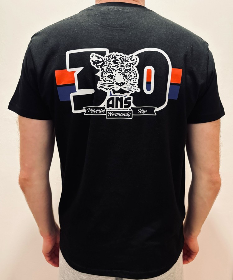 30ans-teeshirt02.jpg