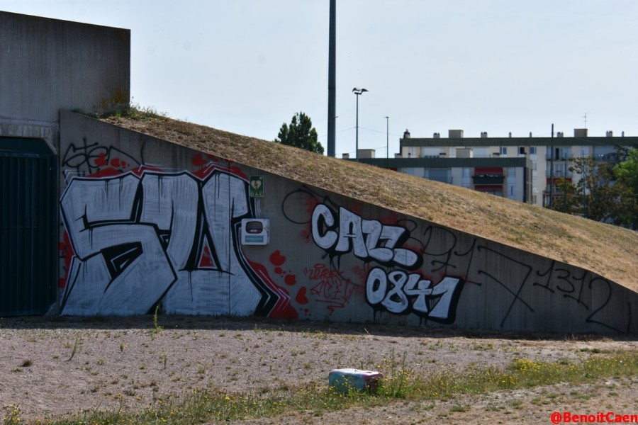 2026-07-07 008.JPG